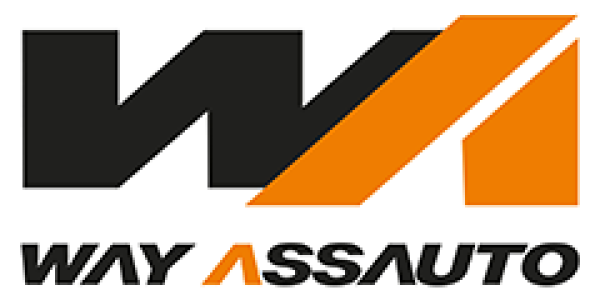 Way Assauto